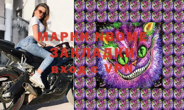 дурь Бородино
