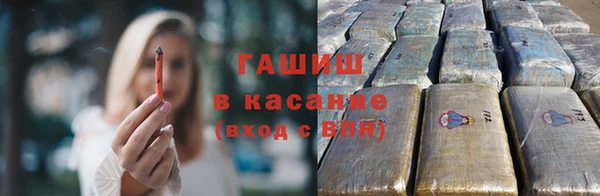 прущие грибы Волоколамск