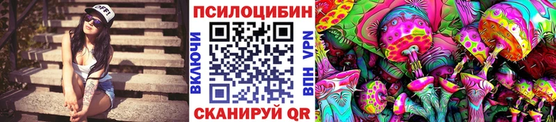 Купить  Лобня  Галлюциногенные грибы Psilocybine cubensis 