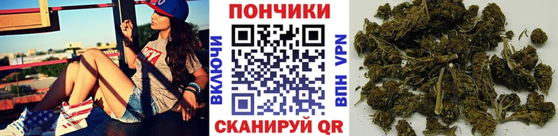 Бошки Шишки ГИДРОПОН  Купить  Лобня 